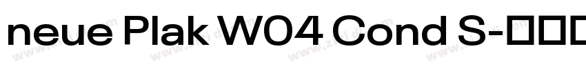 neue Plak W04 Cond S字体转换